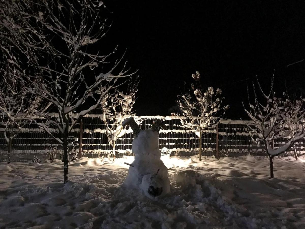 Cabana Jasmin Băile Chirui Esterno foto